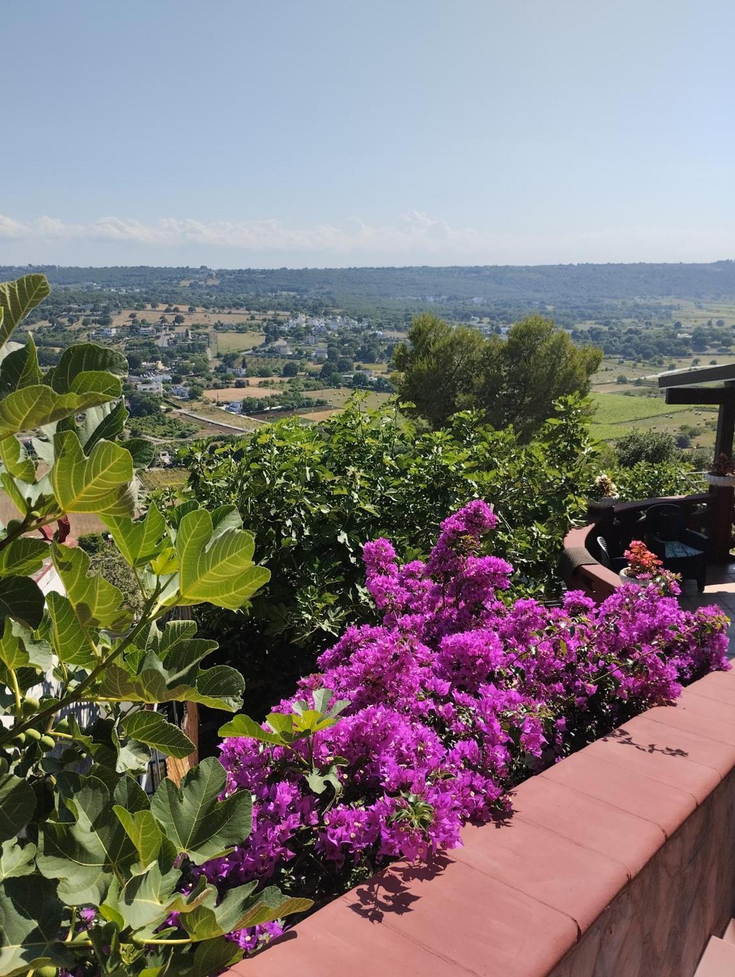 Alehouse Leilighet Selva Di Fasano Rom bilde