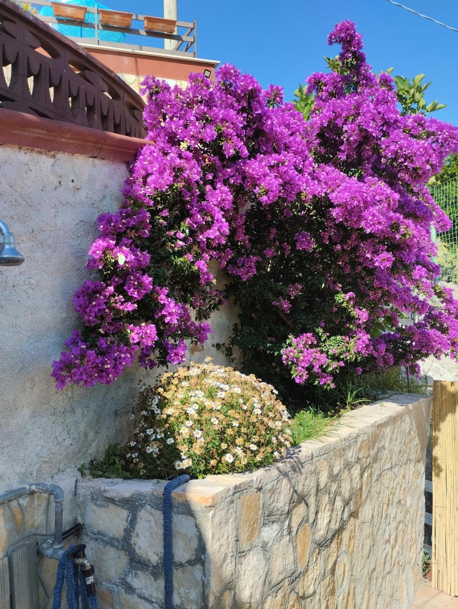Alehouse Leilighet Selva Di Fasano Rom bilde